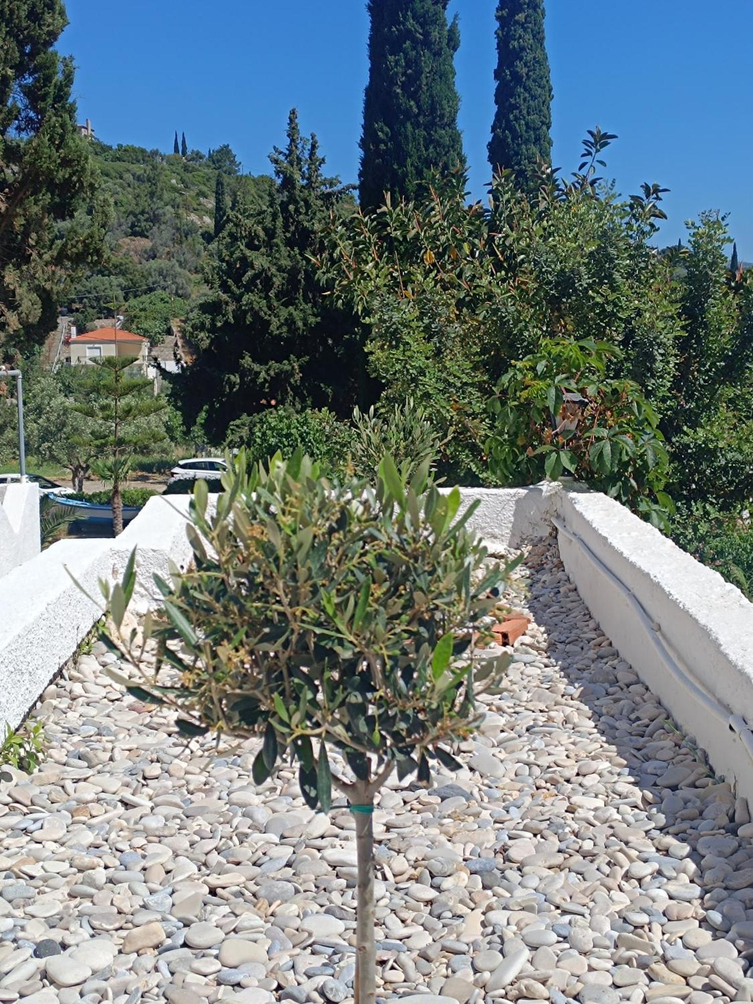 Athina Studio Apartments Кервели Экстерьер фото